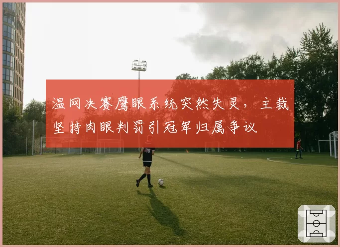 温网决赛鹰眼系统突然失灵,主裁坚持肉眼判罚引冠军归属争议