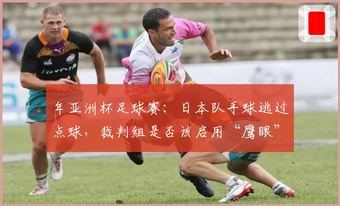 年亚洲杯足球赛：日本队手球逃过点球，裁判组是否该启用“鹰眼”系统？