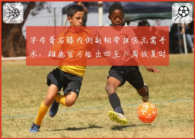 字母哥右膝内侧副韧带扭伤无需手术，雄鹿官方给出四至六周恢复时间表
